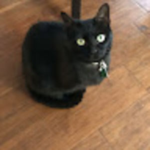 Meet your Posher, Sally